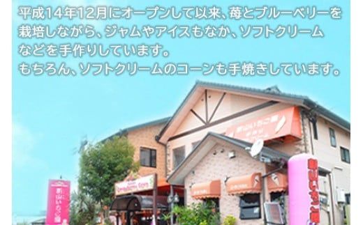 ＜ソフトクリーム屋さんの自家製ブルーベリージャム250g×4＞2か月以内に順次出荷【c491_sn_x2】 ジャム ブルーベリー 4個