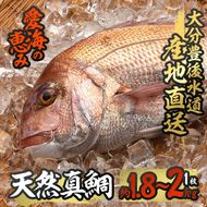 天然 真鯛 (約1.8-2kg・1枚) 直送 産直 漁師 魚 鮮魚 天然 マダイ 鯛 白身魚 獲れたて 刺身 煮つけ 塩焼き 冷蔵 豊後水道 鮮魚 大分県 佐伯市 愛海の恵み【CS02】【 (有)丸昌水産】