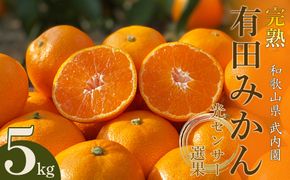【先行受付】 武内園 和歌山県産 有田みかん 特選 秀品 5kg   完熟 光センサー BA02