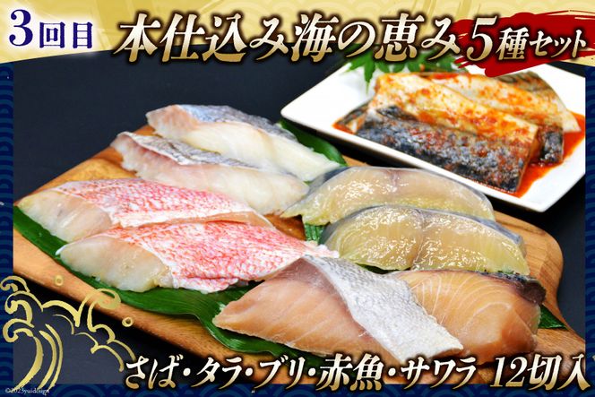 かに いくら マグロ！豪華海鮮定期便 《3ヶ月毎月お届け》 [カネダイ 宮城県 気仙沼市 20564517] 漬魚 ズワイガニ カニ イクラ まぐろ トロ メカジキ さば タラ ブリ 赤魚 サワラ 冷凍