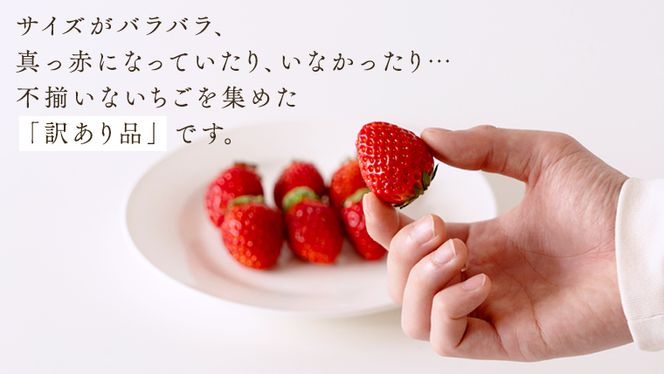 y錧΂݂炢szi󂠂j 2kgi500g×4pbNjy1甭Jnzi錧ʕԗi []F闢j ʕ t[c  C`S s 킯 s\ ƒp AW َq XC[c [BI369-NT]