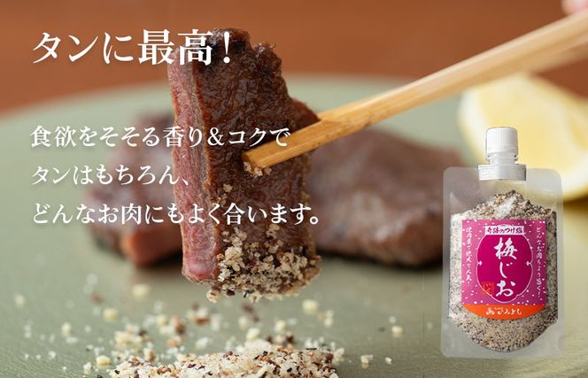 099H2494 焼き肉専門店 梅じお レモン塩 スパイスセット 90g×合計4袋 お試し