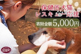 ＜保健所犬猫レスキュー【返礼品なしのご寄附】＞寄付金額5,000円※お礼状をお送りいたします。【 動物愛護 保護 犬 猫 いぬ ねこ イヌ ネコ 動物 どうぶつ ペット 応援 支援 寄付 使い道 寄附のみ いのちのはうす保護家 】【a0621_in】