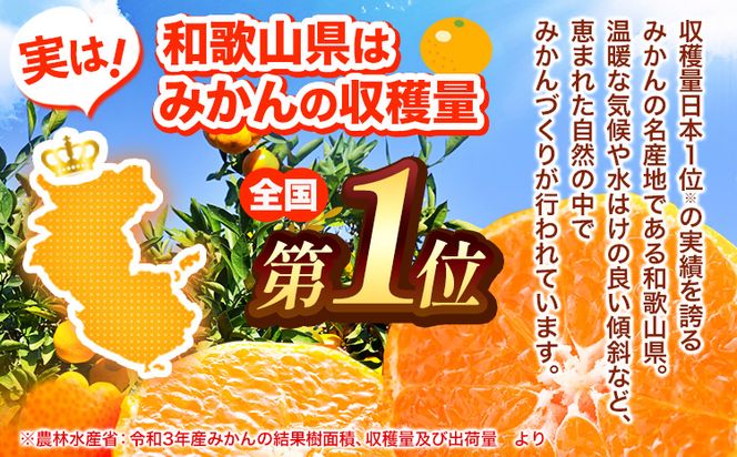 有田みかん果汁100%ジュース 味皇 あじおう 720ml×2本 株式会社魚鶴商店《30日以内に出荷予定(土日祝除く)》 和歌山県 日高町 オレンジジュース フルーツジュース 100% 柑橘---wsh_utsamjao_30d_23_11000_2p---