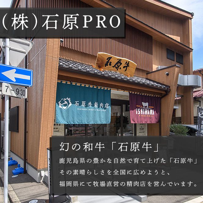 石原牛 霜降りロース 焼肉用(300g) 黒毛和牛 国産 九州産 鹿児島県産 ブランド牛 焼肉 BBQ 牛肉 和牛 霜降り ロース 冷凍【株式会社石原PRO】a-26-12