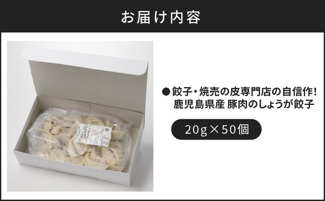 餃子・焼売の皮専門店の自信作！鹿児島県産豚肉のしょうが餃子　K033-004