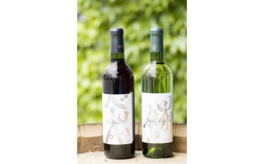 yRJszyf𑢂ӂ邳Ɣ[ŁzCbBh x[A2{Zbg 018-004