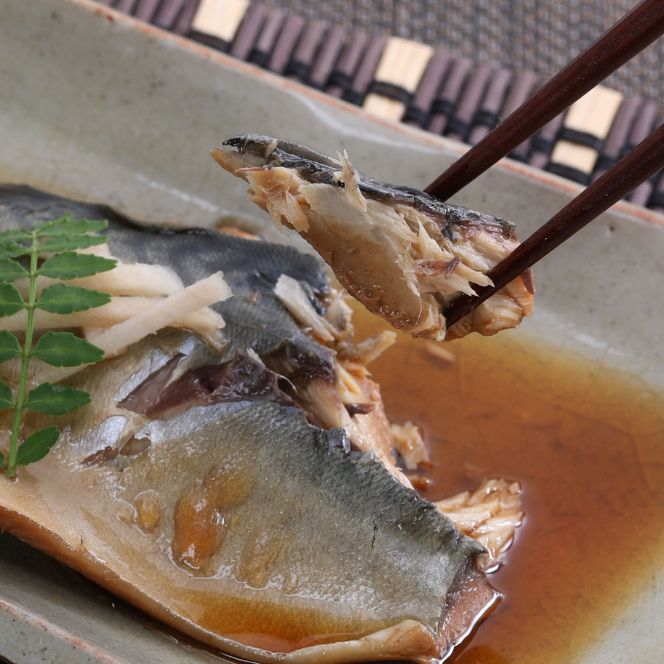 初音の定期便！！奇数月年６回お届け【お二人様向け】６回定期便 惣菜 簡単調理 おかず 高知県 室戸市 送料無料