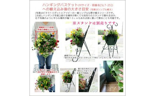 C052 宿根草「ヒューケラの花うるるハンギング寄せ植え」Ｍサイズ