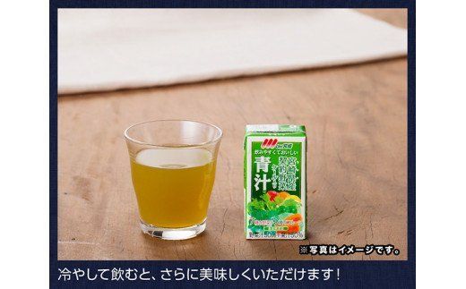 宮崎青汁 125ml×48本セット【6ケ月定期便】 [F3013t6]