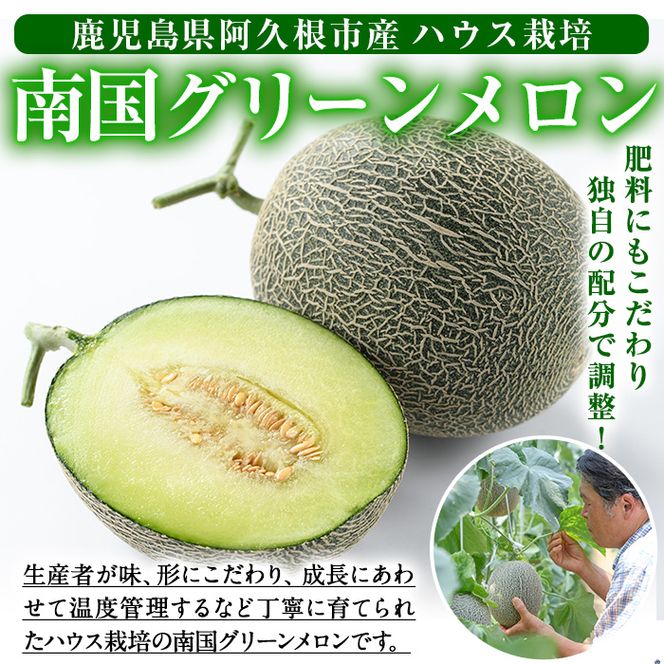 ＜先行予約受付中！2026年6月中旬以降順次発送予定＞数量限定！鹿児島県産南国グリーンメロン(2Lサイズ×2個) メロン フルーツ 果物 鹿児島 国産 青肉 ハウス ハウス栽培 期間限定 2L【東新グリーンファーム合同会社】akn062-08