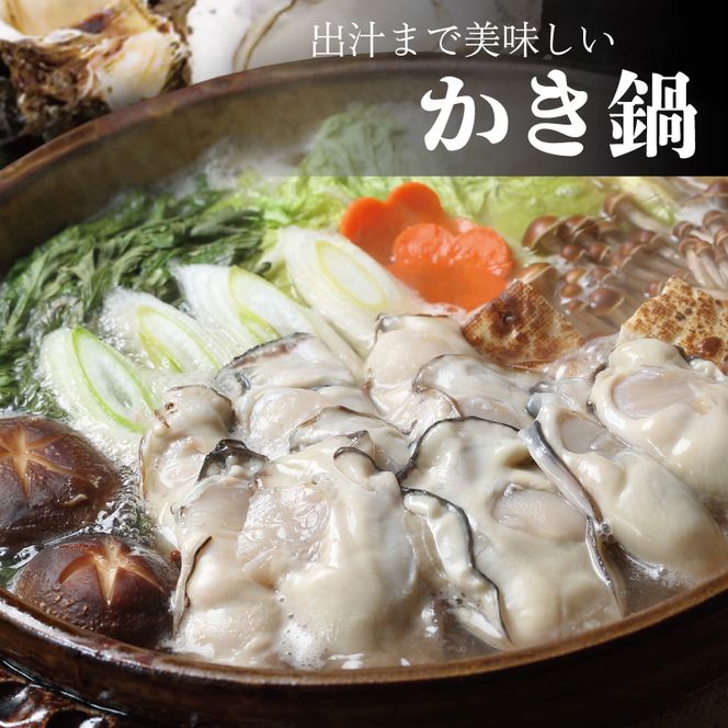 むき身牡蠣 480g 冷蔵  真牡蠣 養殖 むき身牡蠣 オイスター oyster アヒージョ バーベキュー BBQ フライ 揚げ物 鍋 ごはん 夕飯 おかず おつまみ 晩酌 丼 海産物 海鮮 魚介 魚介類 贈答品 お中元 お歳暮 大船渡 三陸 岩手県 国産