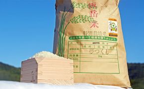 福岡県産 夢つくし 計5kg 1袋