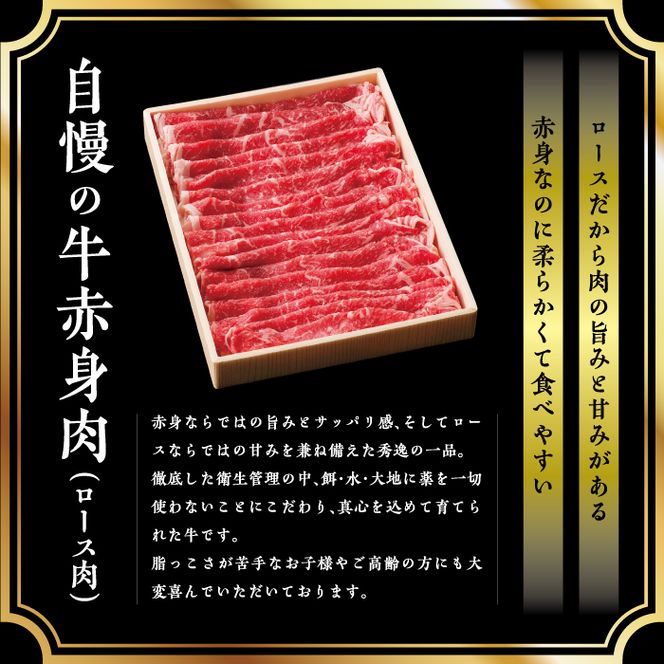 ＜牛赤身ロースすき焼き1kg(500g×2)＞翌月末迄に順次出荷【c428_tf_x2】