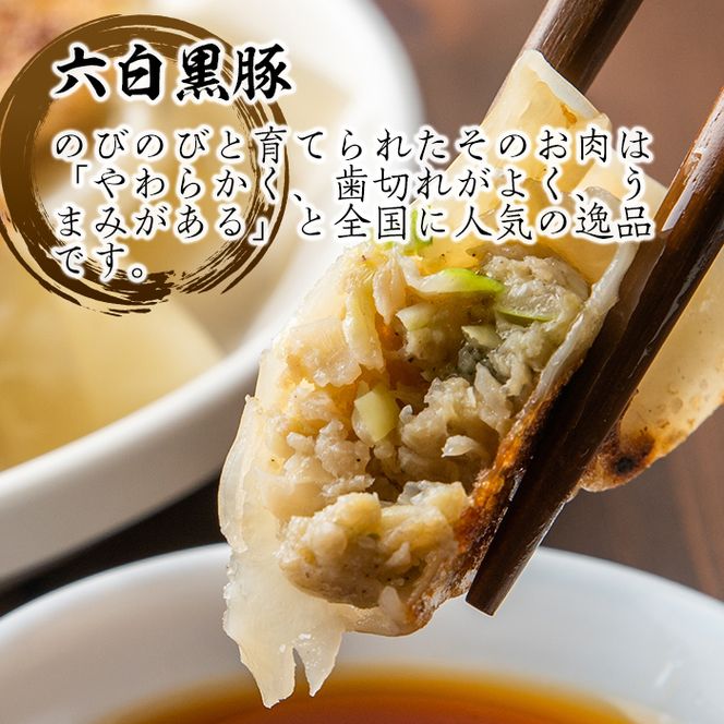 isa266 100年以上続く精肉店の黒豚餃子(計36個・12個入×3P)【増元精肉店】