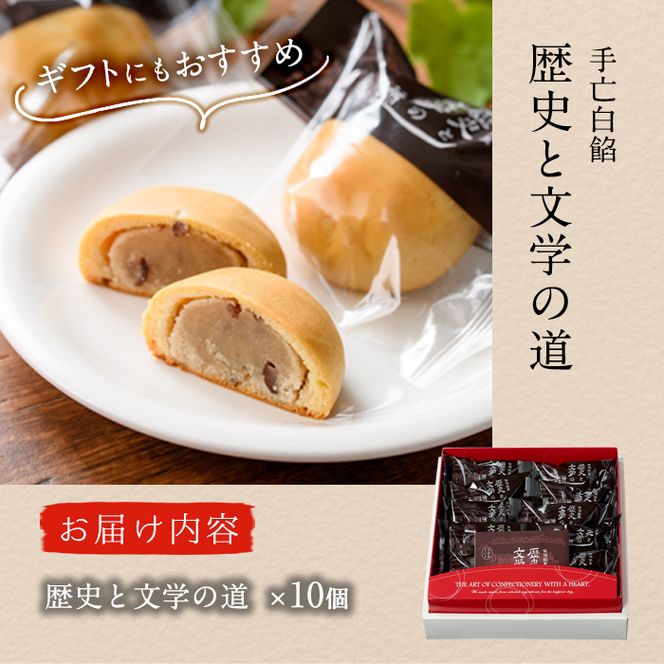 歴史と文学の道 (計10個) 小豆 スイーツ スウィーツ 菓子 焼き菓子 和菓子 おやつ 詰め合わせ セット 個装 大分県 佐伯市【ER009】【(株)古川製菓】