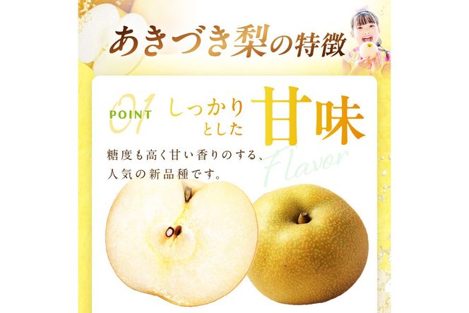 【先行予約／数量限定300】京丹後産 あきづき梨 5kg（8～12玉）（2025年9月中旬～発送）　DE00117