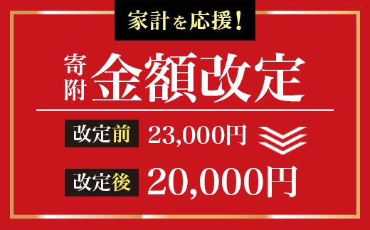 ＜寄附金額改定＞美術刀剣 模造刀 白鞘短刀6寸