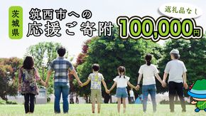 【返礼品なし】茨城県筑西市へのご寄附 100,000円[ZZ005ci]