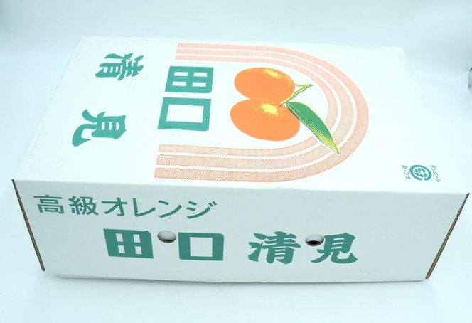 田口の清見オレンジ 秀品　5kg　L～３L（30玉～18玉）化粧箱入り サイズおまかせ【2025／2／26～2025／3／31 順次発送】DS001