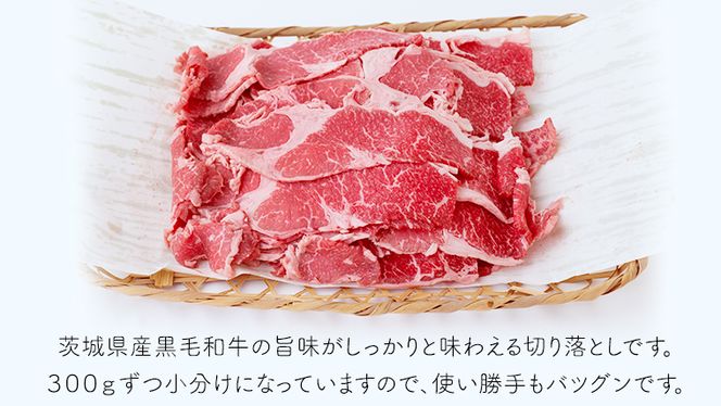 茨城県産 黒毛和牛 切り落とし 1200g [AI012ya]