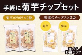 選べる手軽に菊芋チップセット レシピ付き 選べるチップ【菊芋&菊芋】《30日以内に出荷予定(土日祝除く)》熊本県 大津町 菊芋 FSSC22000取得 株式会社阿蘇自然の恵み総本舗---so_shchip_30d_23_9500_4p_kk---