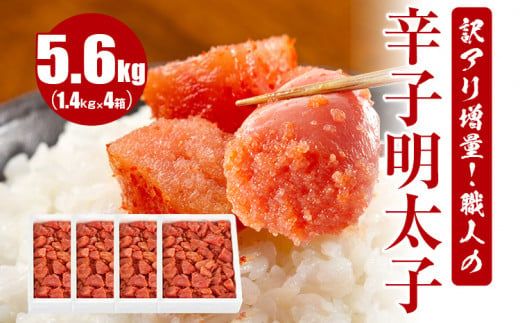 ycszAʁIEl̐hqq 5.6kg