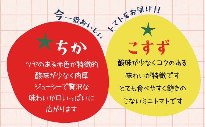 【内閣総理大臣賞受賞】毎日食べたくなるミニトマト３kg 農林水産大臣賞受賞 日本農業賞大賞受賞 H031-002