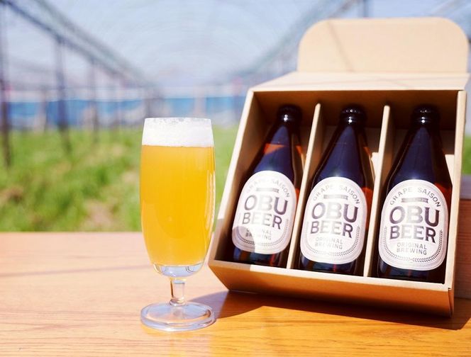 【８月発送】巨峰を使ったすっきりな味わいのクラフトビールOBUBEER【巨峰】 3本と大府産巨峰１キロのOBUセット 232238_AX04-PR