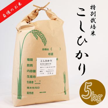 BI-16 【特別栽培米】垂井町産コシヒカリ5kg