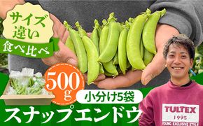 【2025年1月〜発送】スナップエンドウ　サイズ違い　食べ比べセット　100g × 5袋 / 小分け / 南島原市[SFL001]