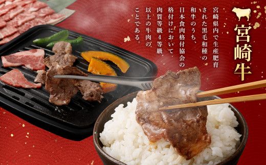 ＜宮崎牛肩焼肉400g＞翌月末迄に順次出荷【c1068_nh_x1】 黒毛和牛 宮崎牛 牛 焼肉 やきにく 肩 冷凍