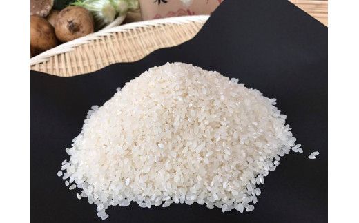 KBE-8　【栽培期間農薬不使用】お米と季節の野菜（4～5品）のセット