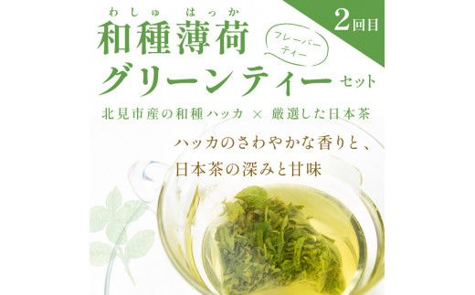 【3ヶ月定期便】「ホッ」とティータイム ( ごぼう茶 グリーンティー ハーブティー ごぼう ゴボウ お茶 和種薄荷 ハッカ 薄荷 ブレンドハーブ )【999-0046】