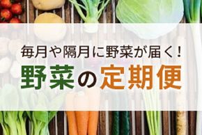 【おすすめ特集】毎月や隔月に「野菜」が届く！ふるさと納税の野菜の定期便