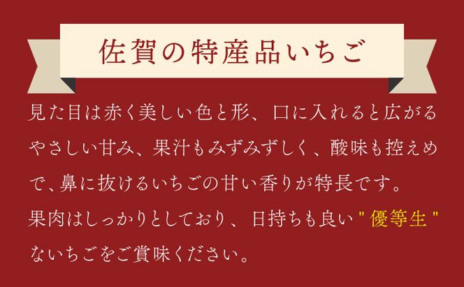 《先行予約》240g×4P 佐賀県産いちご「いちごさん」 計960g!【先行予約】2025年1月中旬より発送 A-66-AS