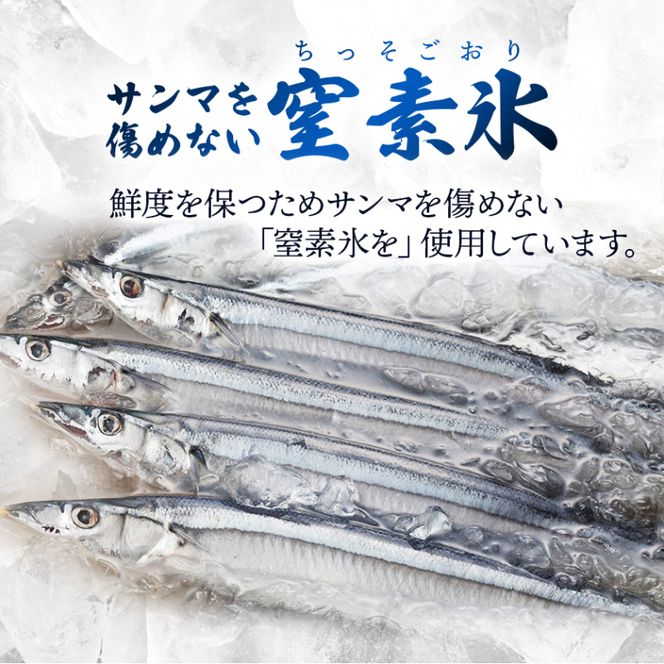 【予約受付中】 鮮さんま 16本入 （1尾 100g～120g） 岩手大船渡産 サンマ 秋刀魚 さんま [oikawa012_1]