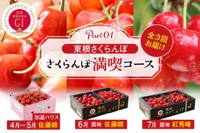 【2025年産 先行予約】GI「東根さくらんぼ」 さくらんぼ 満喫 コース Part１　(2025年4月下旬～5月中旬からスタート) 山形県 東根市　hi001-033-2