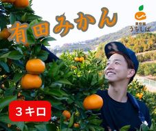 和歌山県産 濃厚な甘さ 早生みかん 3kg 農家直送  	DX001