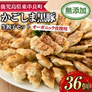 【0125107a】オーガニック皮使用！鹿児島黒豚生餃子セット(12個入×3パック・計36個)黒豚 豚肉 ぶた肉 餃子 ギョウザ ぎょうざ 惣菜【鹿児島ますや】