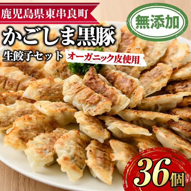 【0125107a】オーガニック皮使用！鹿児島黒豚生餃子セット(12個入×3パック・計36個)黒豚 豚肉 ぶた肉 餃子 ギョウザ ぎょうざ 惣菜【鹿児島ますや】