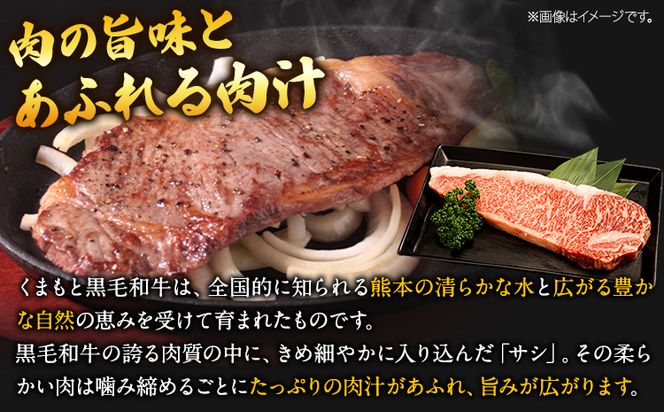 くまもと黒毛和牛 サーロインステーキ 250g 500g 750g 1000g 牛肉 冷凍 《30日以内に出荷予定(土日祝除く)》 くまもと黒毛和牛 黒毛和牛 冷凍庫 個別 取分け 小分け 個包装 ステーキ肉 にも サーロインステーキ---mna_fsaro_30d_24_10000_250g---