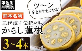【3代続く伝統の味】ピリッとうまか！熊本からし蓮根（3本～4本）- からし蓮根 辛子蓮根 熊本名物 冷蔵 惣菜 おつまみ 手作り 人気 熊本県 甲佐町
