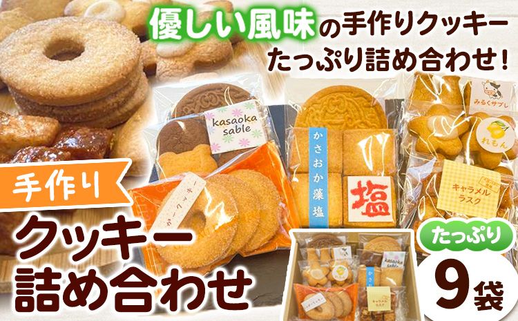 手作りクッキー詰め合わせ 9袋 多機能型事業所かさおか[45日以内に出荷予定(土日祝除く)]お菓子 焼き菓子 スイーツ お土産 手作り おすすめ 素材 デザート おやつ ギフト 贈答 岡山県 笠岡市---S-02b---