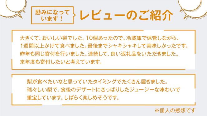 梨 豊水 5kg ( 10個 ～ 14個 ) なし 豊水梨 果物 くだもの フルーツ 旬 高糖度 ギフト 美味しい 甘い デザート 田舎の頑固おやじが厳選！ 【令和6年9月より発送開始】（茨城県共通返礼品：石岡市産） [BI304-NT]