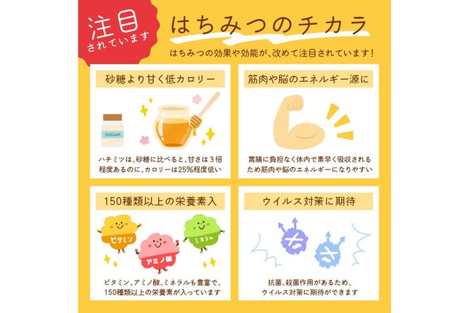 京都 生はちみつ「京丹後 山頂のはちみつ」 500g(100g×5) 【国産　非加熱】　ハチミツ　蜂蜜 ハニー　SW00004