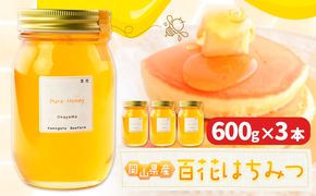 はちみつ 蜂蜜 百花 600g 3本 かもがた養蜂 《30日以内に出荷予定(土日祝除く)》 岡山県 浅口市 送料無料 ハチミツ 百花蜜 百花はちみつ 岡山県産---124_363_30d_23_25000_3---