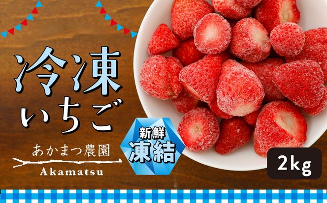 冷凍いちご 2kg あかまつ農園｜鬼北町 苺 農家直送 レッドパール 紅い雫 スムージー ジャム お菓子づくり