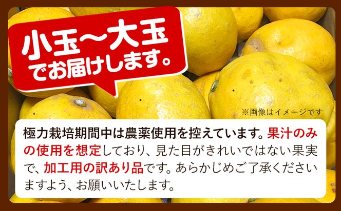 加工用 黒潮 レモン 約 3kg +90g（傷み補償分）和歌山有田産 防腐剤