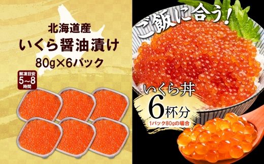 年内配送 12月15日まで受付 2484.  いくら醤油漬け 80g×6個 いくら イクラ 魚卵 魚介 海鮮 送料無料 北海道 弟子屈町